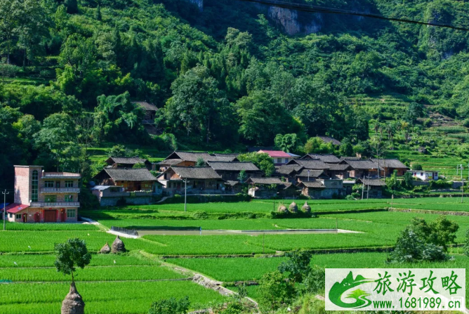 贵州七八月有什么节日活动 贵州集市哪里比较热闹-景点推荐