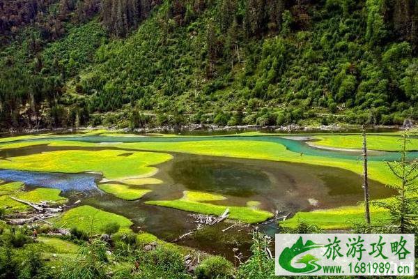 四川周边有哪些海景