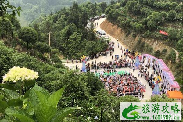 2020巴南石龙镇绣球花旅游节时间和地点 巴南石龙绣球花旅游节活动介绍