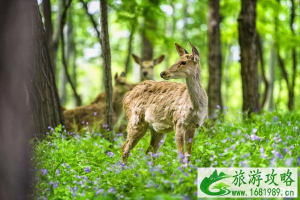 京津冀五一游玩哪里好-景点推荐