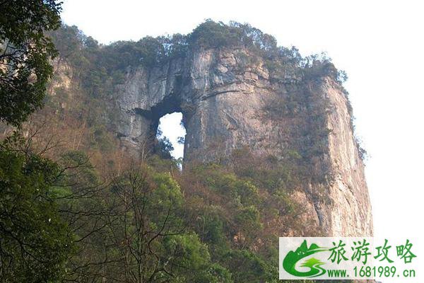 2020金佛山端午节免门票和旅游攻略