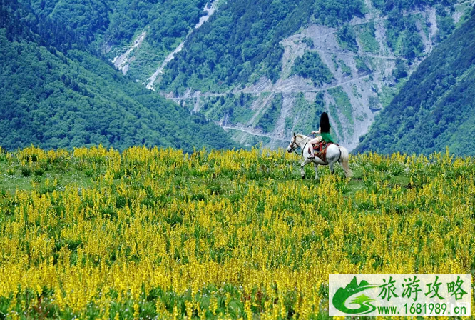 云顶花海门票价格几月最美-游玩攻略