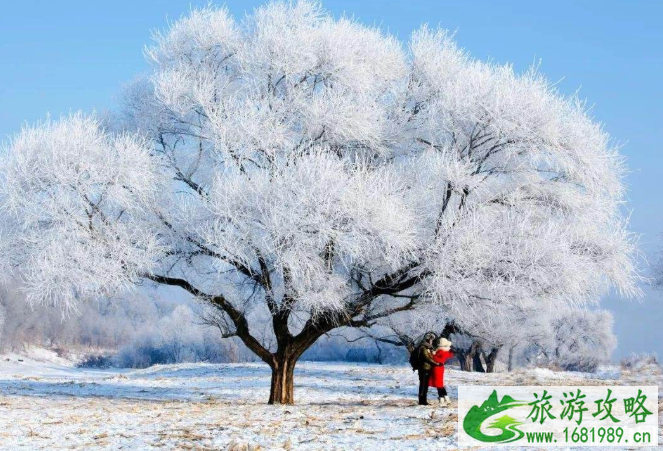 雾凇岛韩屯好还是曾通好 雾凇最佳观赏时间