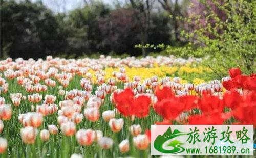 2022西溪花朝节门票价格+时间+地点