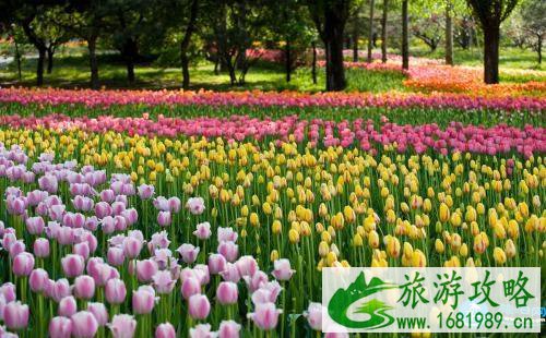 2022北京植物园门票价格+优惠政策+停车信息