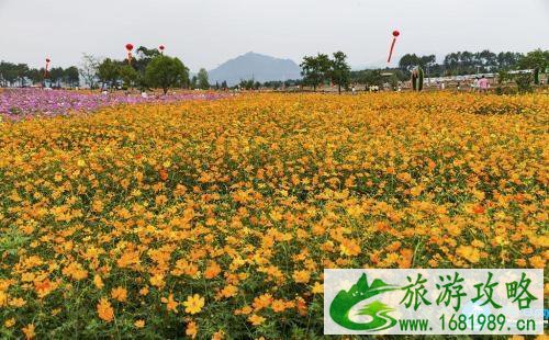 2022北京赏花攻略花期+地点+交通