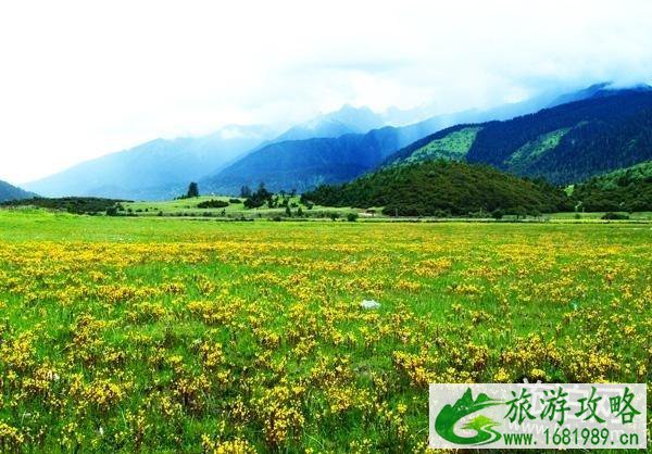 2022林芝桃花节什么时候 2022西藏林芝桃花节时间+景点+穿衣