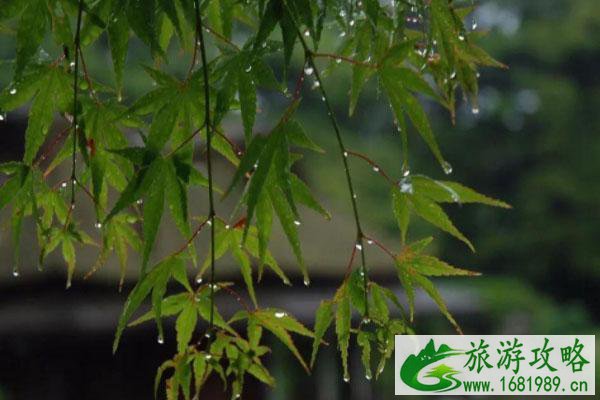 武汉梅雨季节2021什么时间入梅-持续多久