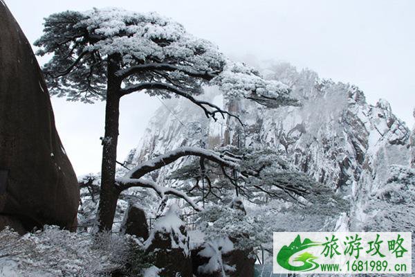 黄山风景区下雪了吗2021 黄山风景区冬天封山吗