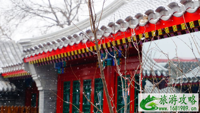 北京下雪了吗今天2020 下雪北京哪里好玩