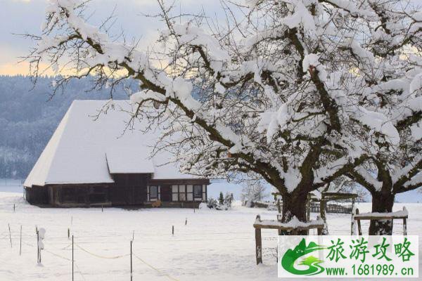 2020大雪节气哪些地方下雪 大雪有哪些风俗活动