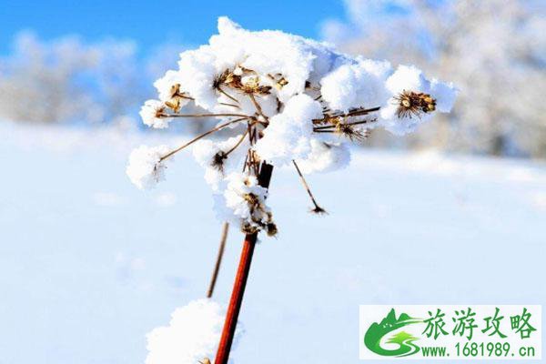 2021年北京元旦天气预报 会不会下雪