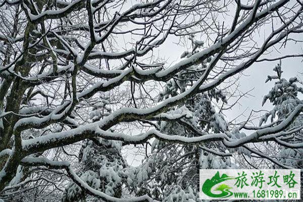 峨眉山第一场雪 峨眉山下雪是什么样