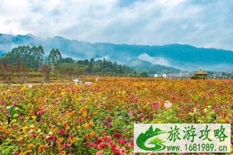 黄姚花海适合什么时候去  黄姚花海门票是多少