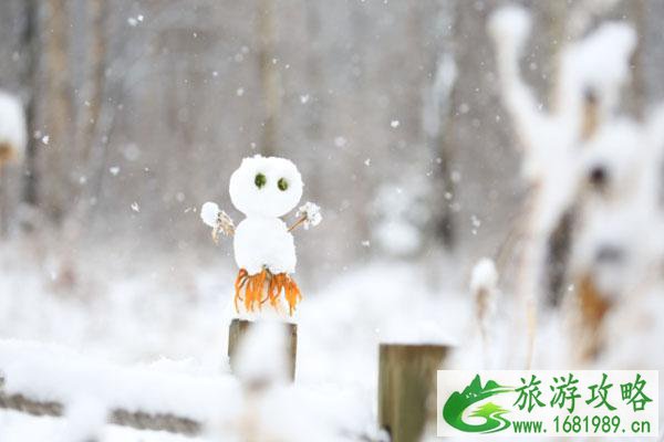 粉雪是什么意思 怎么形成的