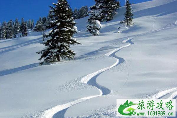 粉雪是什么意思 怎么形成的