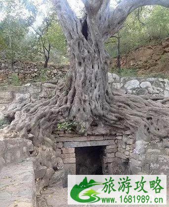 济南灵岩寺简介 济南灵岩寺雕塑介绍