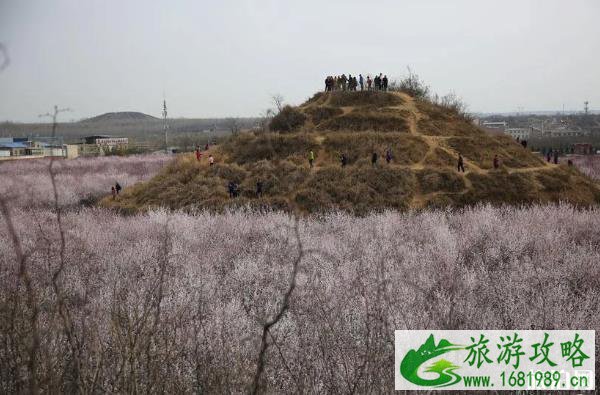 西安明十三陵遗址简介