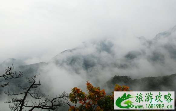 凤凰山门票多少钱一张 凤凰山门票优惠政策