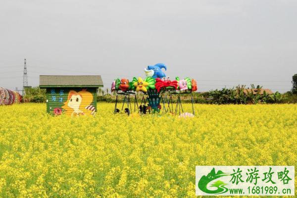 2022广州哪里有油菜花可以看 广州油菜花观赏地推荐