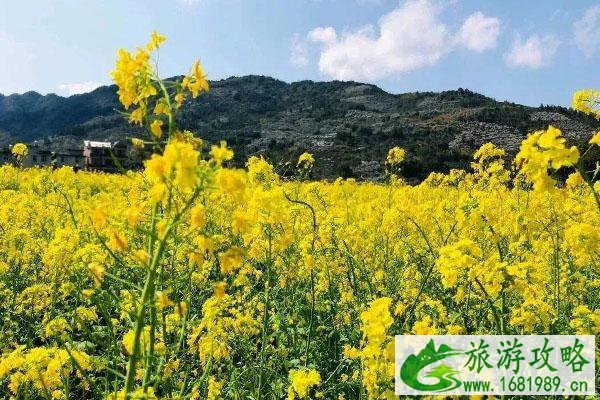 2022福州春节赏花攻略 景点推荐