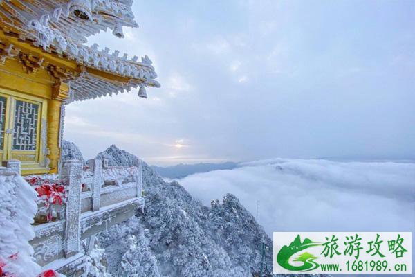 洛阳老君山旅游攻略冬季 老君山网红打卡景点