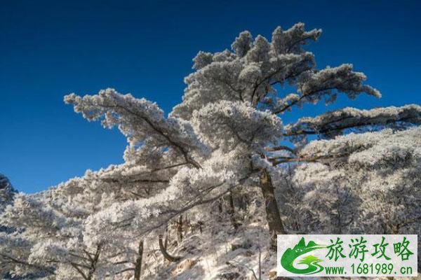 黄山冬季最佳旅游时间 冬游门票优惠政策