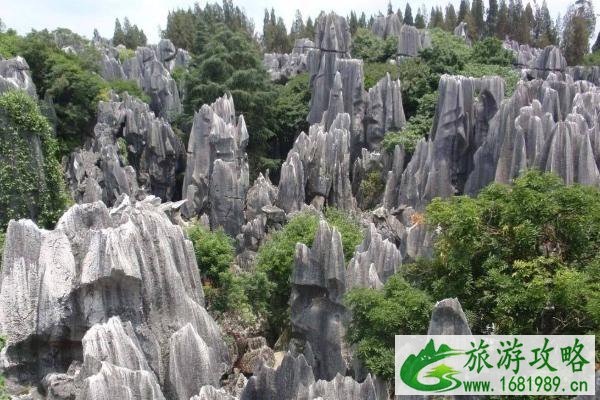 天津冬季旅游最佳去处(附门票信息及景点介绍)