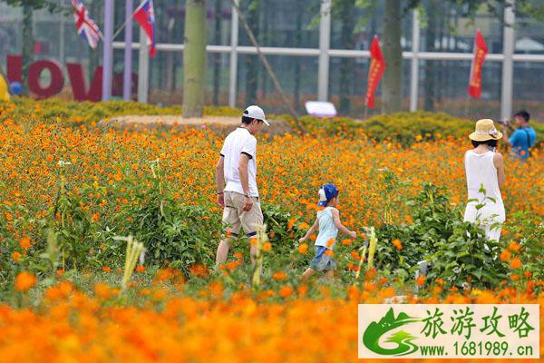 佛山南海看花海的好地方推荐