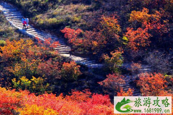 舞彩浅山哪个入口最好-开放登山口