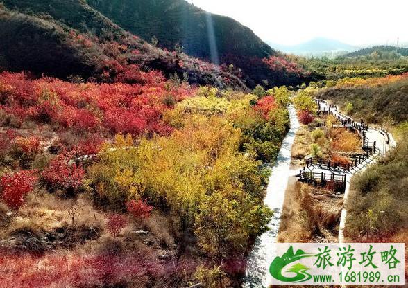 舞彩浅山哪个入口最好-开放登山口