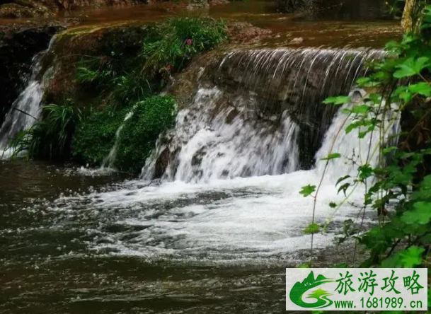 成都邛崃金山村萤火虫在哪里-观赏指南