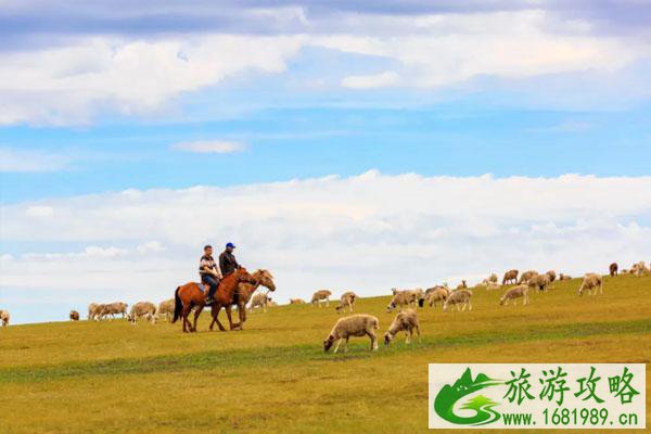 哪里的大草原适合旅游