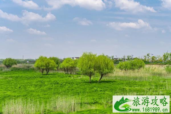南京踏青去哪里 2021南京春季旅游最佳去处 南京踏青去哪里 2021南京春季旅游最佳去处