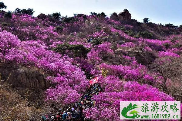 2021五一青岛大珠山游玩攻略