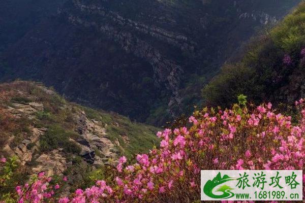 3月国内旅游最佳去处 赏花踏青旅游地推荐