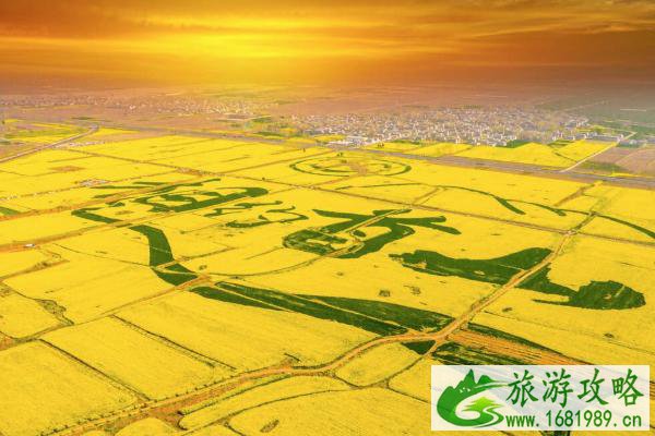 2021襄县油菜花节是什么时候 襄县油菜花节时间-地点