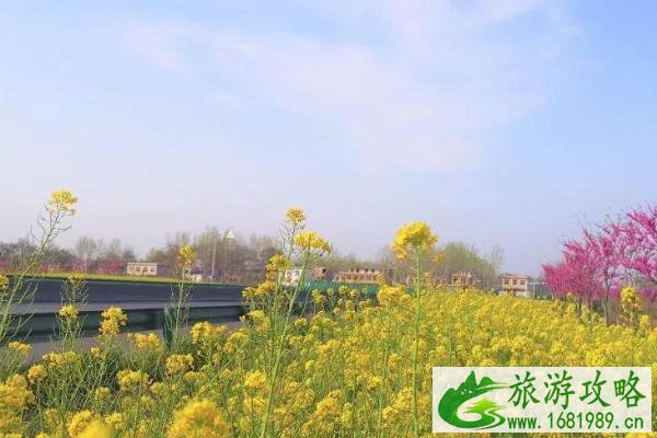 2021襄县油菜花节是什么时候 襄县油菜花节时间-地点