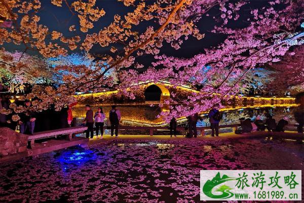 无锡樱花怎么拍照好看 无锡樱花什么时候盛开 无锡樱花怎么拍照好看 无锡樱花什么时候盛开