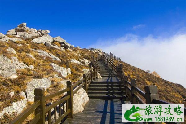 太白山景区门票多少钱 太白山景区3月8日妇女节优惠政策