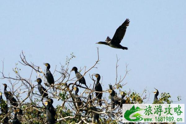 惠州元旦旅游线路推荐 惠州必去景点