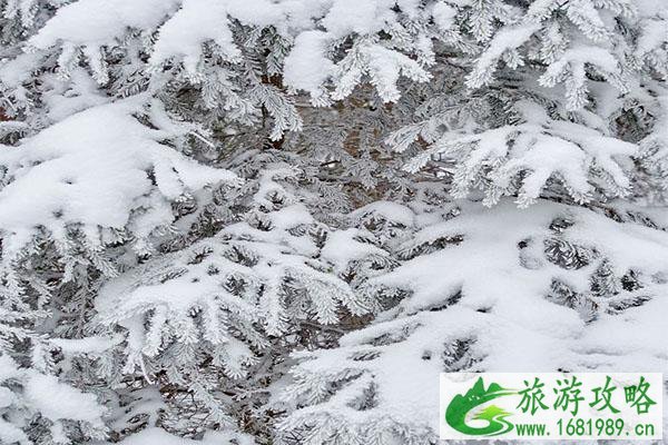 2021重庆春节赏雪好去处 重庆赏雪的好地方