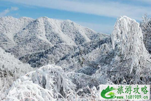 2021春节重庆周边赏雪地点推荐