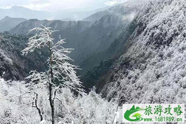 2021瓦屋山冬季好玩吗 瓦屋山冬季旅游攻略