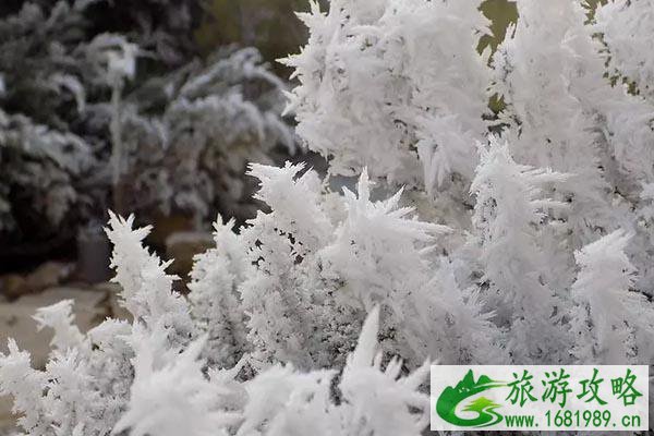 国内哪里的雪景好看 超美赏雪胜地推荐