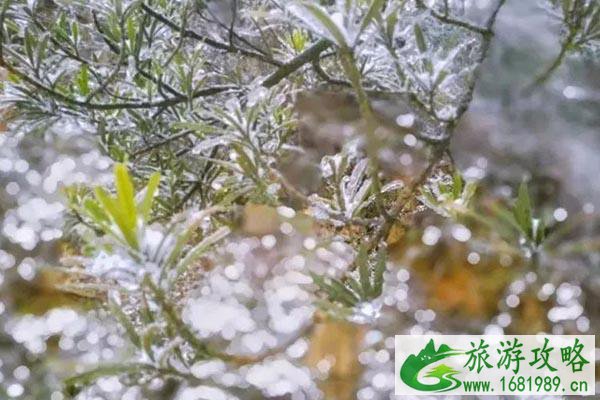 成都周边赏雪泡温泉的地方 成都周边温泉哪里最好