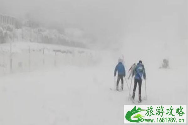 2020重庆金佛山冰雪节游玩攻略 时间-地点-门票