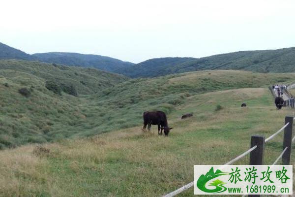 台北2日游 游玩路线及景点介绍