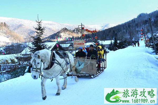 哈尔滨雪谷怎么去 哈尔滨雪谷周边美食推荐