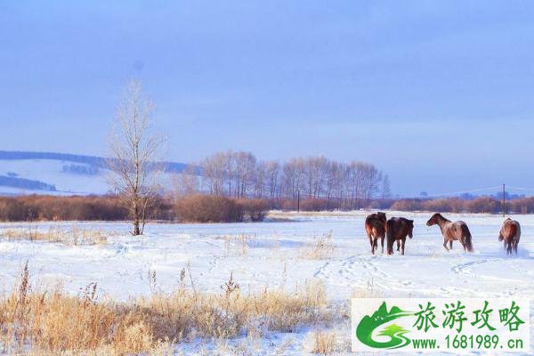 12月看雪的好去处 看雪去哪里看比较好玩